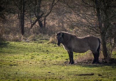 Hagelandse heuvels en landschappen